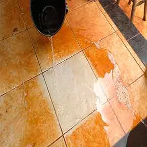 produtos pós obra em Lavar Tapete em Feira de Santana